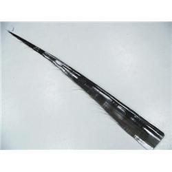 CHOICE on two 7' Baleen (1)