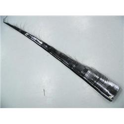 CHOICE on two 7' Baleen (1)