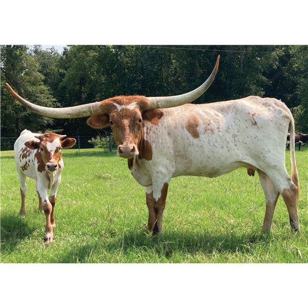 RIVERFORKS TUFF COOKIE