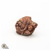 GENUINE COPROLITE SPECIMEN FROM