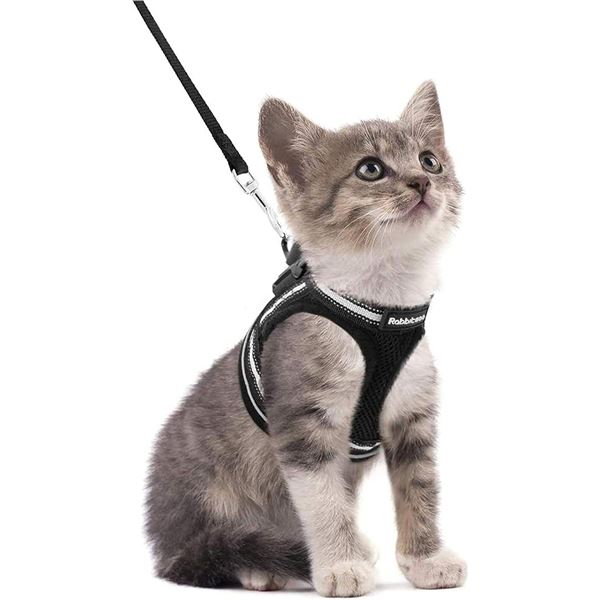 NEW RABBITGOO CAT HARNESS (SIZE MEDIUM)