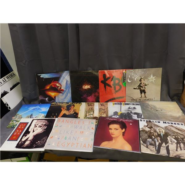 Lot of 13 1980s Pop Rock LPs Records Vinyl