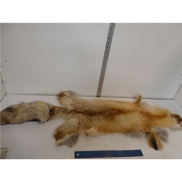 Fox Pelt