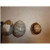 Image 3 : 2- Grey Agate Stone Egg and 1 Bezgon's Blood Jaspe