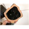 Image 5 : 2 Blue Mountain Pottery: Ash Tray and Eagle