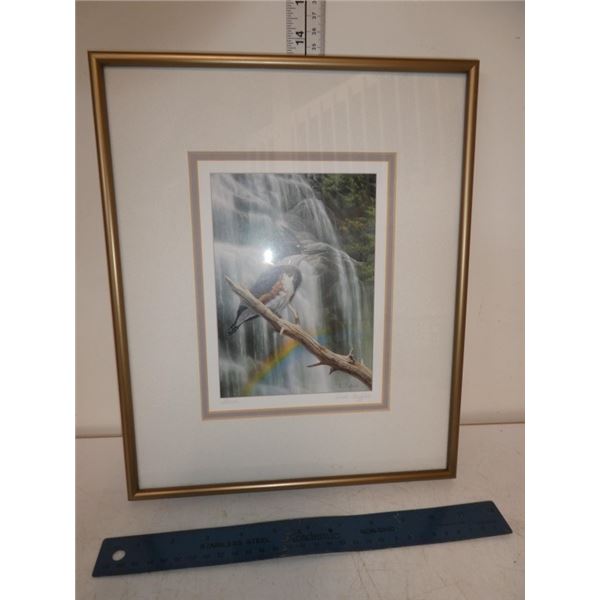 Framed, Signed Print "Perch"