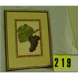 Dark red grapes picture in gold frame