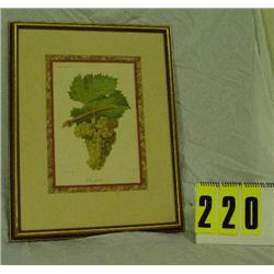 Green grapes picture in gold frame