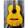Image 5 : Giannini ACC Guitar w/ Soft Case