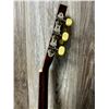 Image 8 : 2006 Candelas ACC Guitar w/ Candelas SC