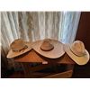 Image 1 : 3 Straw Cowboy Hats Various Sizes