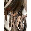 Image 2 : Horse Harness Collection