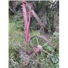 Image 2 : Antique Farm Equipment