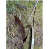 Image 3 : Antique Plow