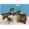 Image 1 : Bonsai Tree & Decor Coasters from Japan