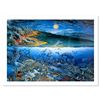 Image 1 : Wonders of Mahealani by Nelson, Robert Lyn