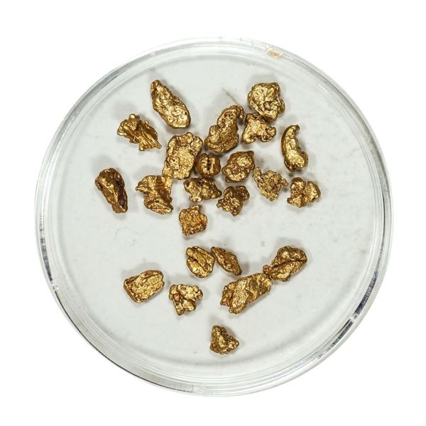 Gold Nuggets 3.87 Grams Total Weight