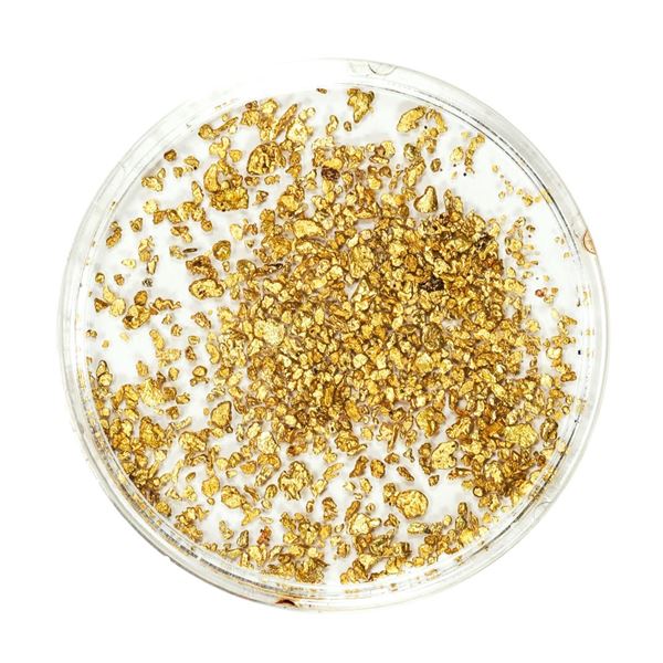 Lot of Fine Gold Nuggets 2.87 Grams Total Weight