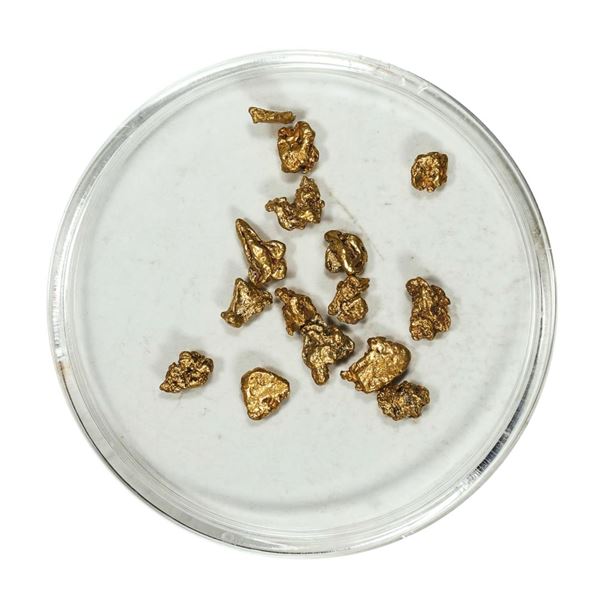 Gold Nuggets 2.54 Grams Total Weight