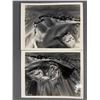 Image 2 : 4 1940's U.S. Army/ Airforce Alaska Mapping Photos