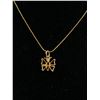 Image 2 : 10K Chain w/Pendant & Gold Coloured Jewelry