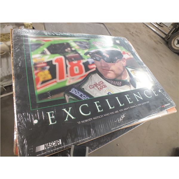 4 Nascar Posters