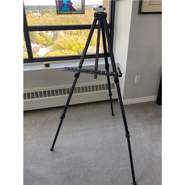 WIndsor & Neuton Easle Adjustable Picture Is 51T