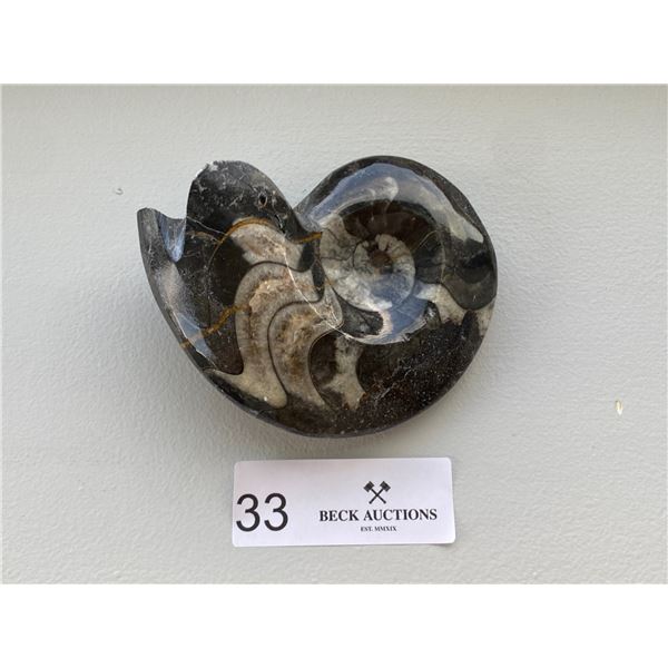 Amolite Fossil