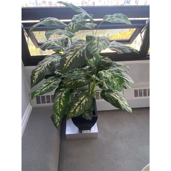 Designer Silk Plant 42T