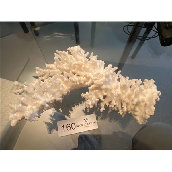 Decorative Preserved Coral 10L