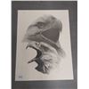 Image 1 : Beautiful Limited edition Sketch Of Eagles