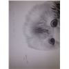 Image 2 : Beautiful limited Edition Sketch  of Owls