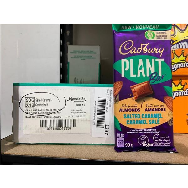 Cadbury Plant Bar Salted Caramel 18 x 90g