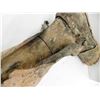 Image 12 : ANTIQUE WOODEN PROSTHETIC LEG 1800S
