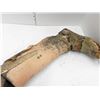 Image 9 : ANTIQUE WOODEN PROSTHETIC LEG 1800S