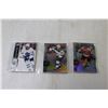 Image 4 : (12) Pks. of Upper Deck Hockey Cards