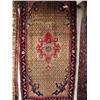 Image 1 : 35847 Hamedan  Carpet 9'2" x 4'8" suggested $2500