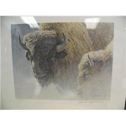 Robert Bateman Print, Wood Bison Portrait, 253/950 Image Size 11" x14 1/2"