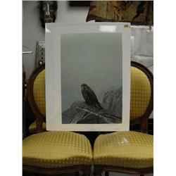 Signed and Numbered Print Image Size  25 1/2" x 17" "The Dark Gyro Falcon" 45/950 by Robert Bateman
