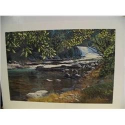 Signed and Numbered Print Image Size 18 1/2" x 27 1/2" by Richard Luce "Forest Retreat 356/500