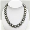 Image 2 : 14-16mm Tahitian Silver Gray Near-Round Pearl Necklace with Gold Clasp