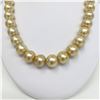 Image 3 : 13-16mm South Sea Medium Golden Button Pearl Necklace with Gold Clasp