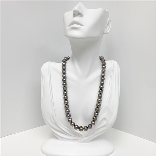 8-10mm Tahitian Silver Lavender Near-Round Pearl Necklace with Gold Clasp