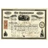 Image 1 : Riddlesburg Coal and Iron Co., 1864 I/U Stock Certificate.