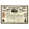 Image 1 : Riddlesburg Coal and Iron Co., 1864 I/U Stock Certificate.