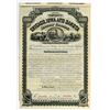 Image 1 : Chicago, Iowa and Dakota Railway Co., 1882 Specimen Coupon Bond