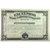 Image 1 : Excelsior Water & Mining Co., 1883, I/U Stock Certificate