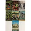 Image 2 : Florida 400+ Postcards