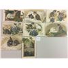 Image 1 : Winsch Full Silk Holiday Greeting Cat Postcards 8 Total