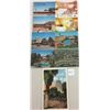 Image 1 : Arizona 50+ Postcards